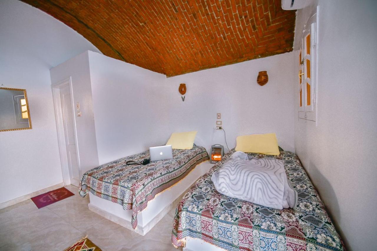Kafana Guest House Nile View Aswan Ngoại thất bức ảnh