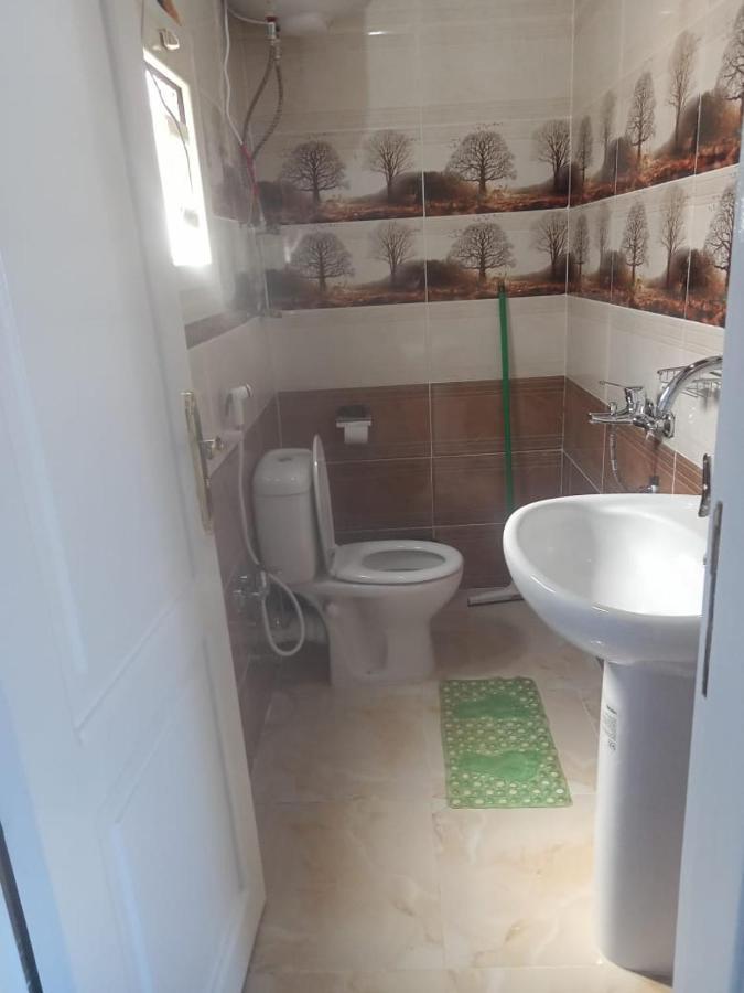 Kafana Guest House Nile View Aswan Ngoại thất bức ảnh