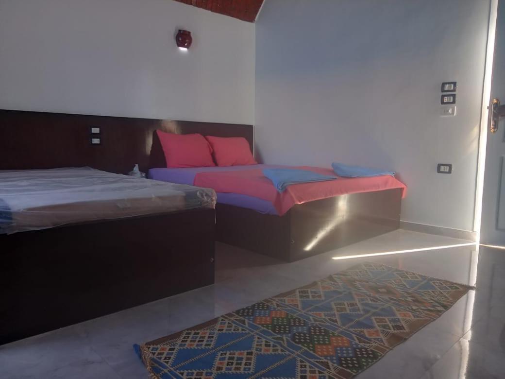 Kafana Guest House Nile View Aswan Ngoại thất bức ảnh
